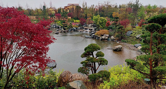 «Все в Сад!» Стало известно, как попасть в «Японский сад» в парке Галицкого без очереди