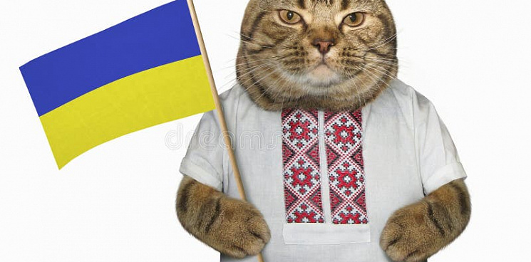  «Собака Степан Бандера, крыса Дуда и пёс Джо!» На Украине ветеринары придумали клички для животных, которые хотят быть украинцами