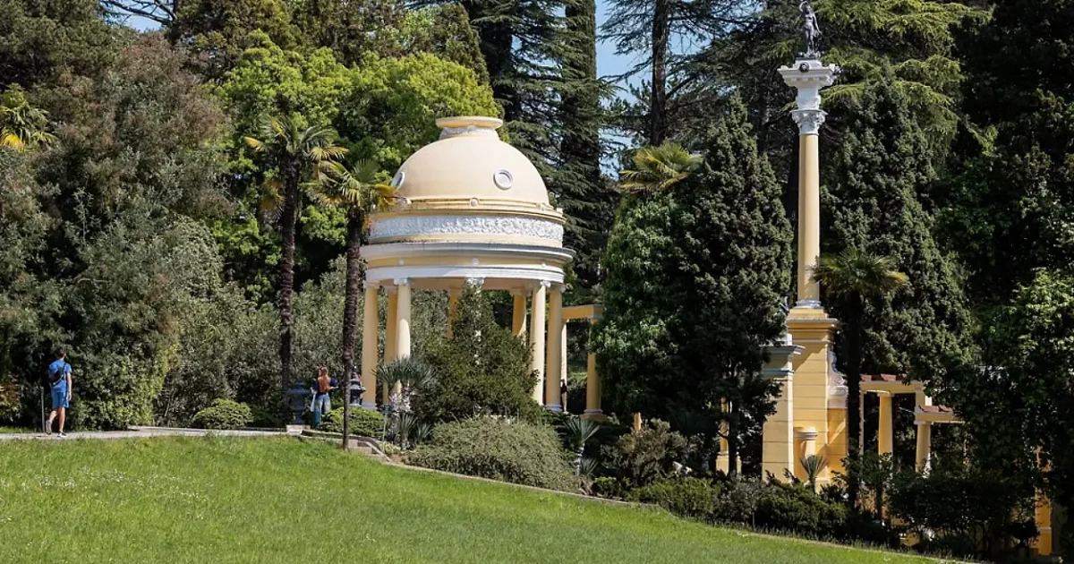 В Сочи цветет мармеладное дерево с плодами, похожими на сладкое лакомство