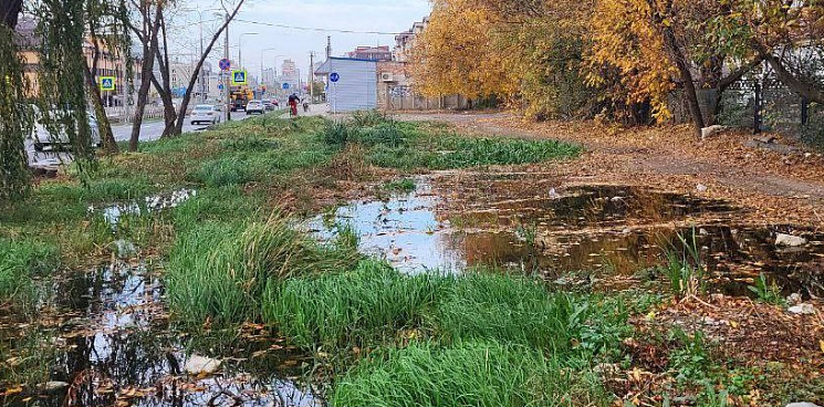 «С видом на озеро – дороже!» В Краснодаре появилось новое несанкционированный водоём: он пахнет канализацией и разрастается