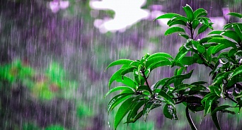На Кубани 24 июля ожидаются сильные дожди и грозы