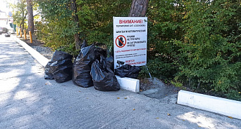 «Сам собираешь – сам плати и сам вывози!» В Геленджике администрация отказалась забирать мусор, от которого волонтёры очистили леса – ВИДЕО