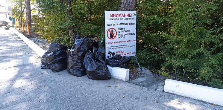 «Сам собираешь – сам плати и сам вывози!» В Геленджике администрация отказалась забирать мусор, от которого волонтёры очистили леса – ВИДЕО