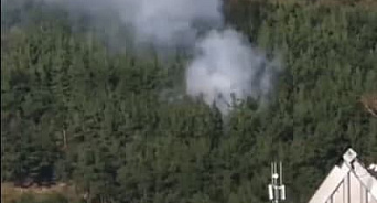 В лесу Геленджика пожарные потушили пожар на площади 800 квадратных метров