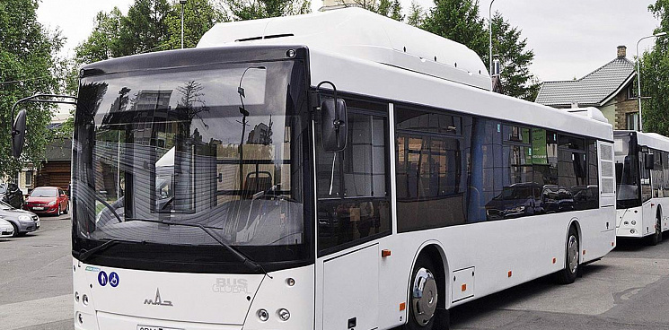Новый автобусный маршрут запустят в Новознаменском микрорайоне Краснодара