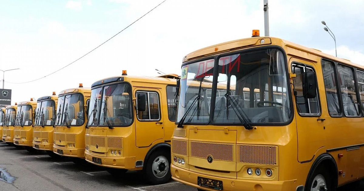 Школьный автопарк Кубани пополнили 59 новыми автобусами