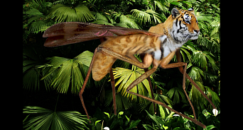Из-за нашествия тигровых комаров в Анапе пропали спреи от насекомых 