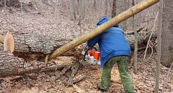 В горах Горячего Ключа упало дерево на газопровод