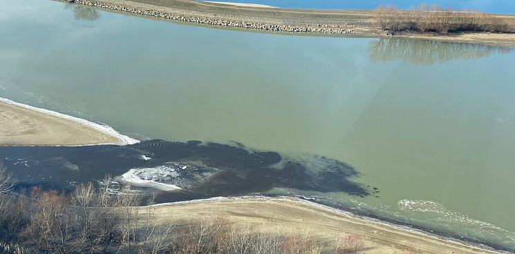 «Вода черная, пахнет человеками»: житель Краснодара просит администрацию проверить очередной факт слива сточных вод в реку Кубань 