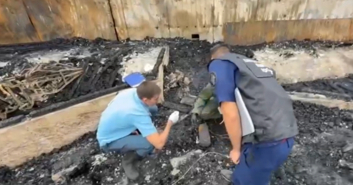 Внутри сплошной уголь. СК опубликовал кадры из сгоревшей крокодиловой фермы в Ейске