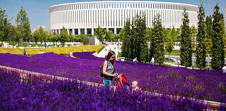 «Налетай, подешевело!» В Краснодаре знаменитый парк Галицкого выставили на продажу за один миллион рублей накануне открытия Японского сада