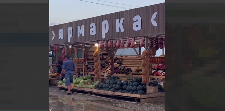 «Одни весы для покупателей, а другие – для себя?» Посетители придорожной ярмарки на Кубани показали, как их пытался надуть продавец арбузов - ВИДЕО