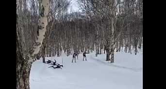 Лыжник из Краснодара умер во время соревнований на Камчатке