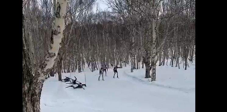 Лыжник врезался в дерево. Лыжник пропал в Ермилово. Шерегеш лыжник врезался в дерево 2009 год. Лыжники въехали в зимний лес они подъехали к замерзшему ручью.