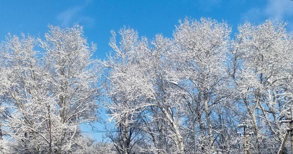 В Краснодарском крае 31 декабря до +2°, ожидаются дождь, снег и метель