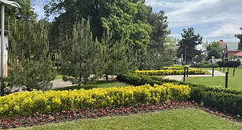 В Анапе высадят более 5 тыс. цветов в сквере прокуратуры