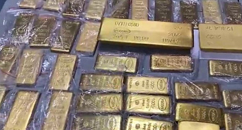 Контрабандисты из Армении попытались вывезти из РФ 225 килограммов золота – ВИДЕО