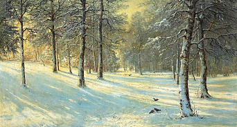 В Краснодарском крае 28 декабря ожидается снег и дождь