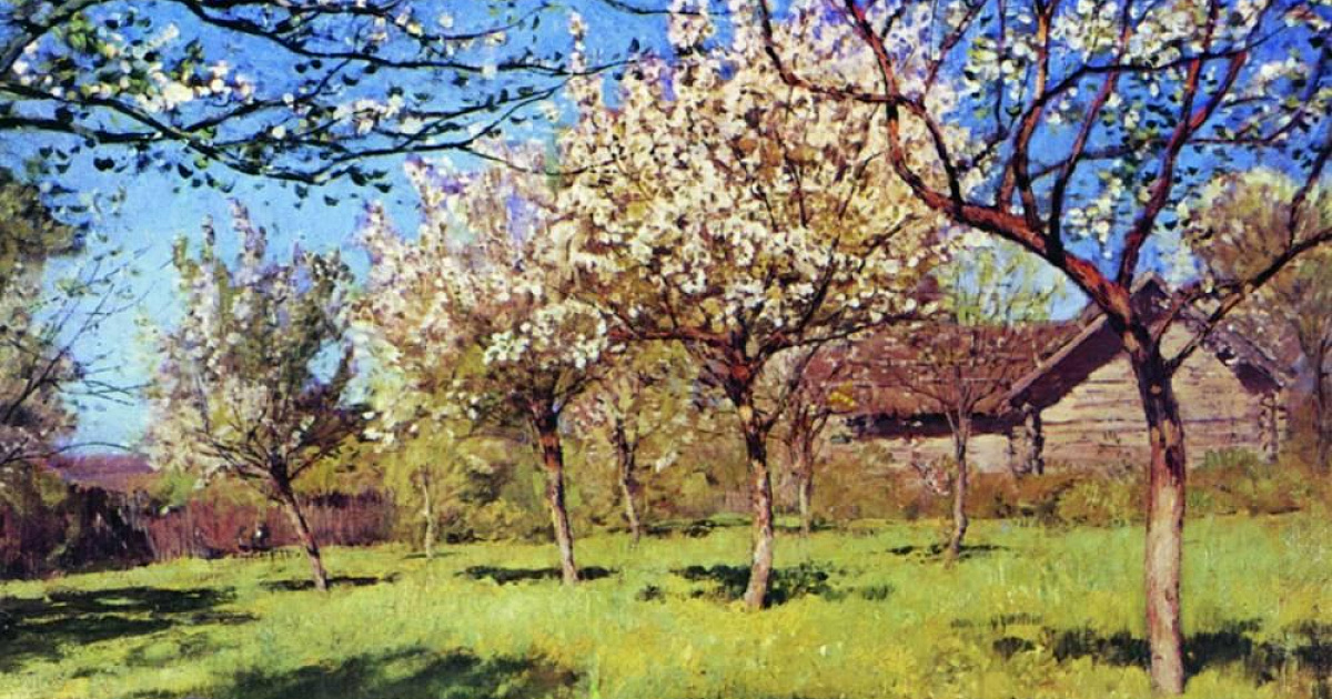 «Ни зелени, ни совести!» В Краснодаре продолжают вырубать здоровые деревья