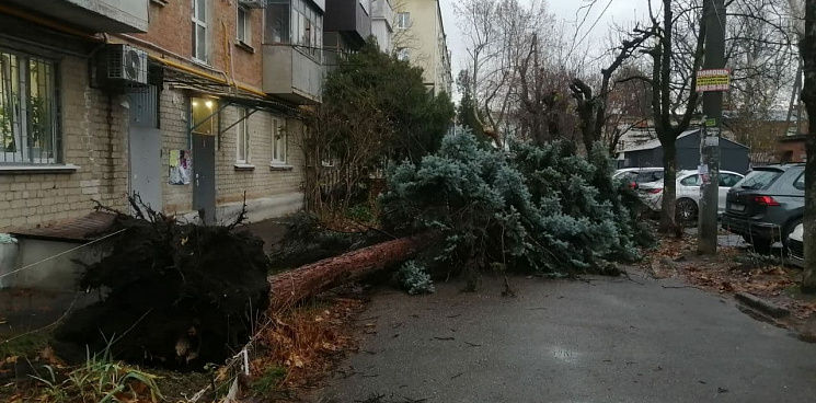 В Краснодарском крае продолжают устранять последствия урагана