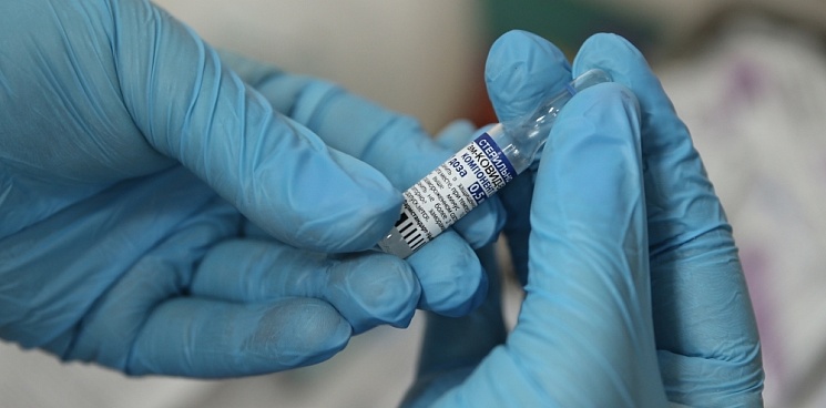 Более 45% педагогов Краснодара вакцинированы или записались на процедуру