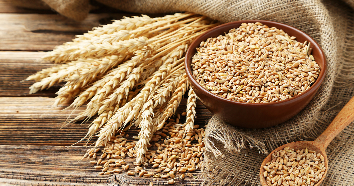 В России с апреля заработает механизм регулировки экспорта зерна