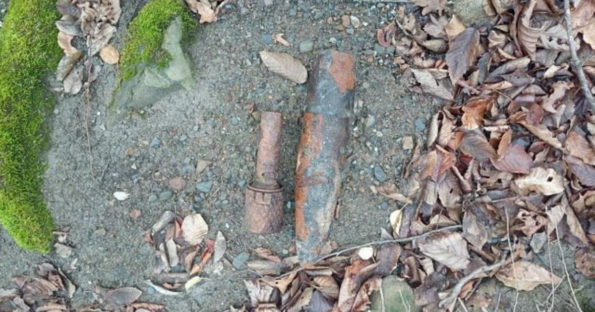 В Туапсинском районе местные жители обнаружили в лесу боеприпасы