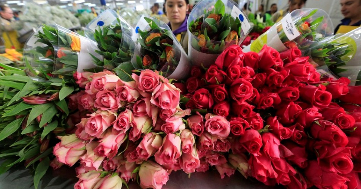  В.Матвиенко возмущена ценами на цветы в преддверии 8 марта