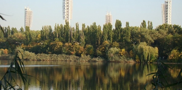 В Дмитриевском сквере устранили засоры на дамбах между озерами 