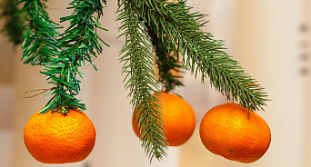 Новый год на грани срыва: на Кубань не пропустили мандарины