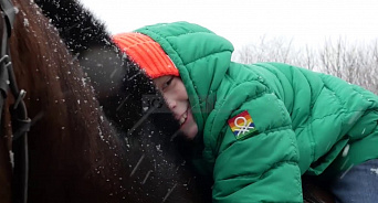 «Добрые полицейские снова в деле»: на Кубани онкобольной ребёнок прокатился на служебном полицейском коне - ВИДЕО