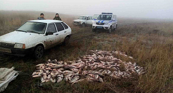 За день кубанские браконьеры незаконно выловили рыбы на 400 тысяч рублей