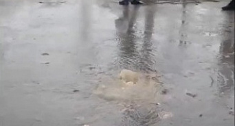 «Если не дожди, то фекалии!» В Краснодаре на двух улицах зловонные фонтаны образовали «море» нечистот - ВИДЕО