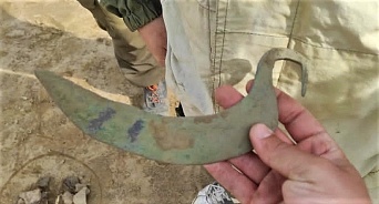 В Темрюкском районе найден серп эпохи поздней бронзы