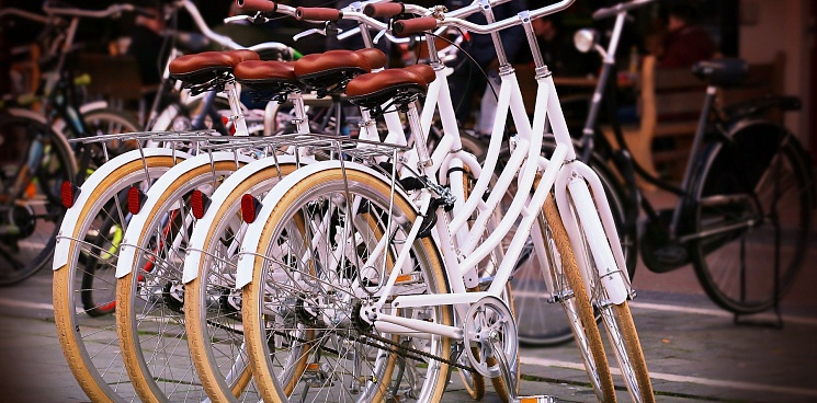 В Краснодаре число велосипедистов возросло до 100 тысяч человек