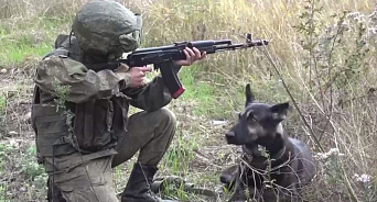 Боевой пёс помогает в борьбе с минами: сапёры ВС РФ расчищают дороги от мин ВСУ – ВИДЕО