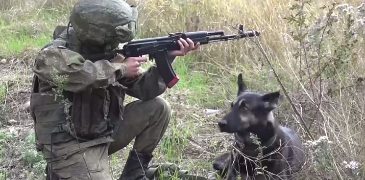 Боевой пёс помогает в борьбе с минами: сапёры ВС РФ расчищают дороги от мин ВСУ – ВИДЕО