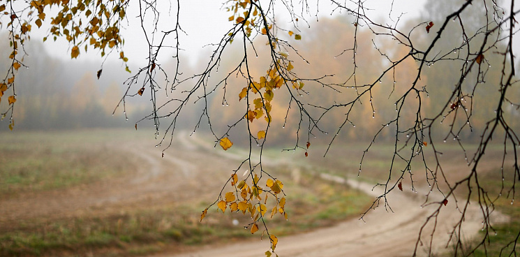 В Краснодарском крае в первый день зимы будет +11