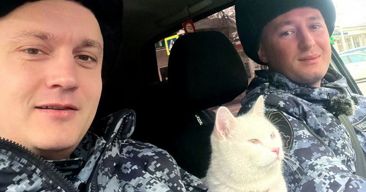 Росгвардейцы вернули хозяйке в Анапе напуганного кота 