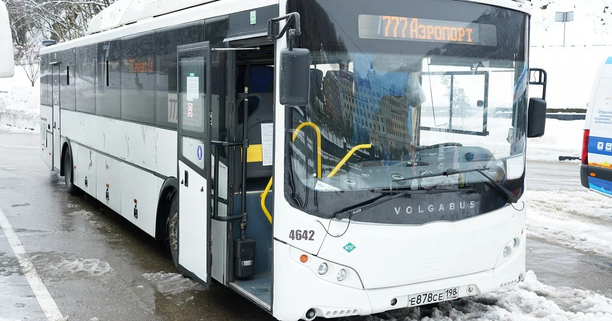 «Отдыхающим сделали новогодний подарок»: в Сочи на праздниках запустят 56 дополнительных маршрутов автобусов до Красной Поляны