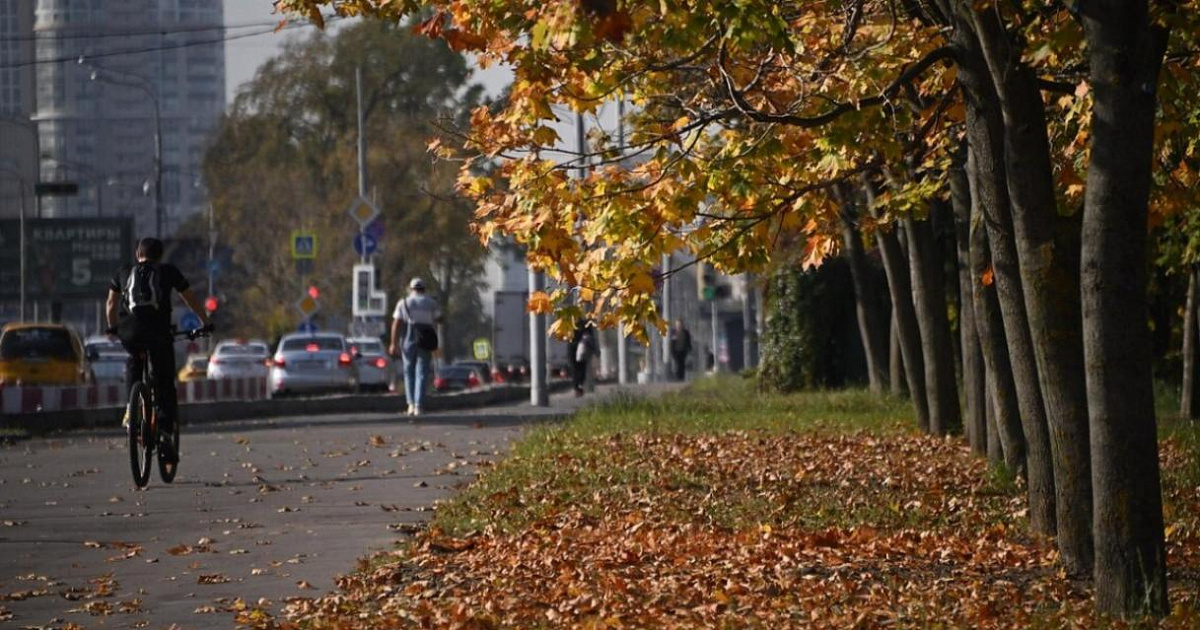 На Кубани 26 ноября переменная облачность, осадков не ожидается