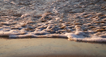 Жители Сочи покинули пляж Бонди за минуты до теракта в Сиднее