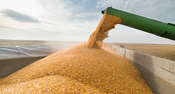 На Кубани за год экспорт зерна и зерновых продуктов увеличился почти на 40%