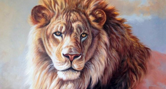 В Анапе приставы арестовали льва по кличке Тигран - теперь он сядет за решетку