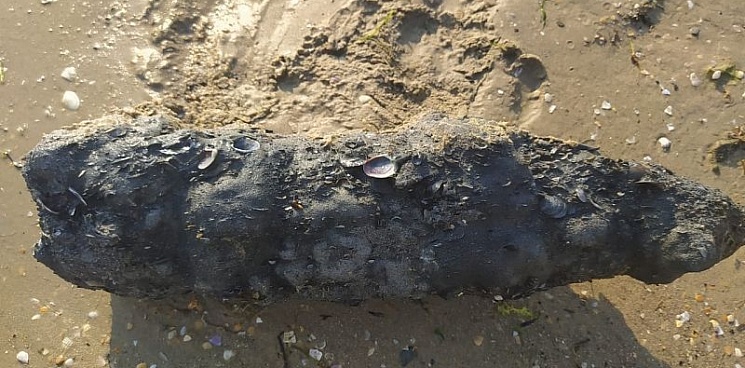 В Анапе на пляже нашли снаряд времен ВОВ
