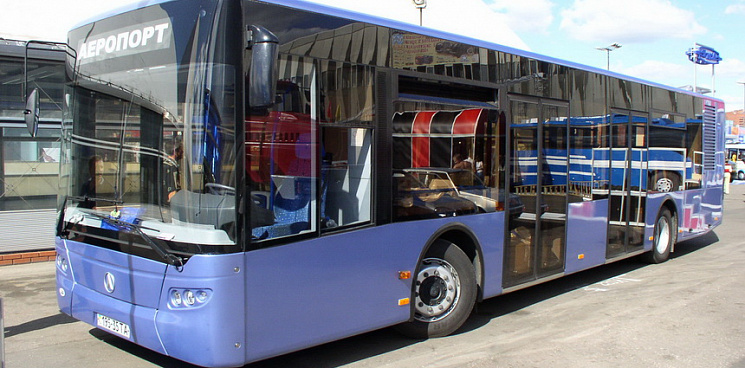 Туроператоры просят запустить автобусы из аэропорта Сочи в Крым