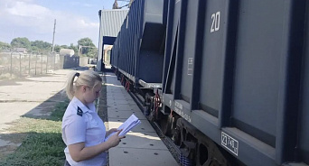 Россельхознадзор проверил 166 тыс. тонн кормов на Кубани