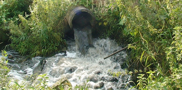 Экологи подтвердили слив инфильтрата с мусорного полигона Новороссийска