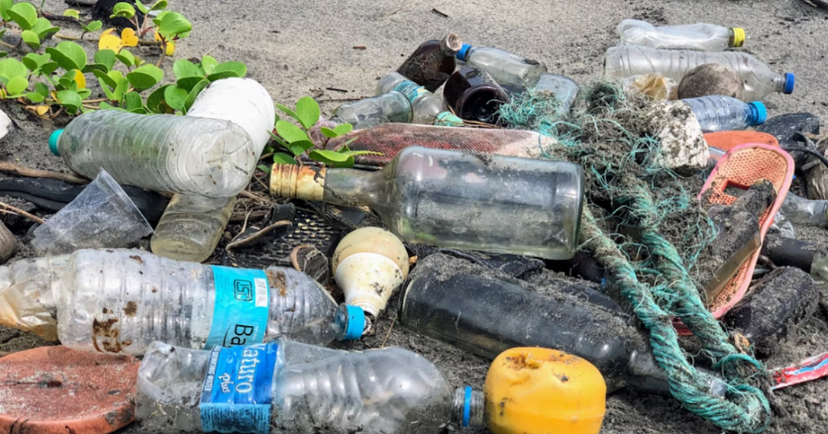 Жители ул. Достоевского в Краснодаре жалуются на гору скопившегося мусора