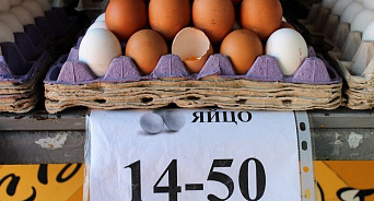 Яйца в России стали продавать поштучно, чтобы не наступило массового психоза: Генпрокуратура проверит рост цен 
